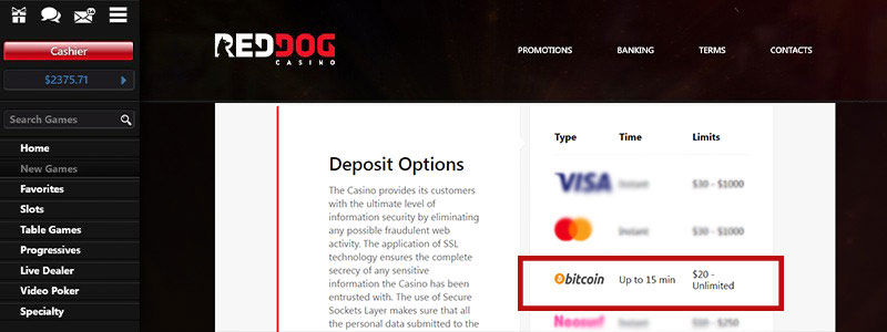 red dog online crypto casino, gambling bitcoin for real money